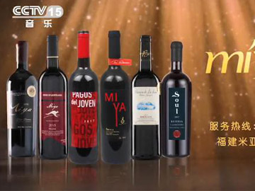 CCTV15腾博会官网宣传片